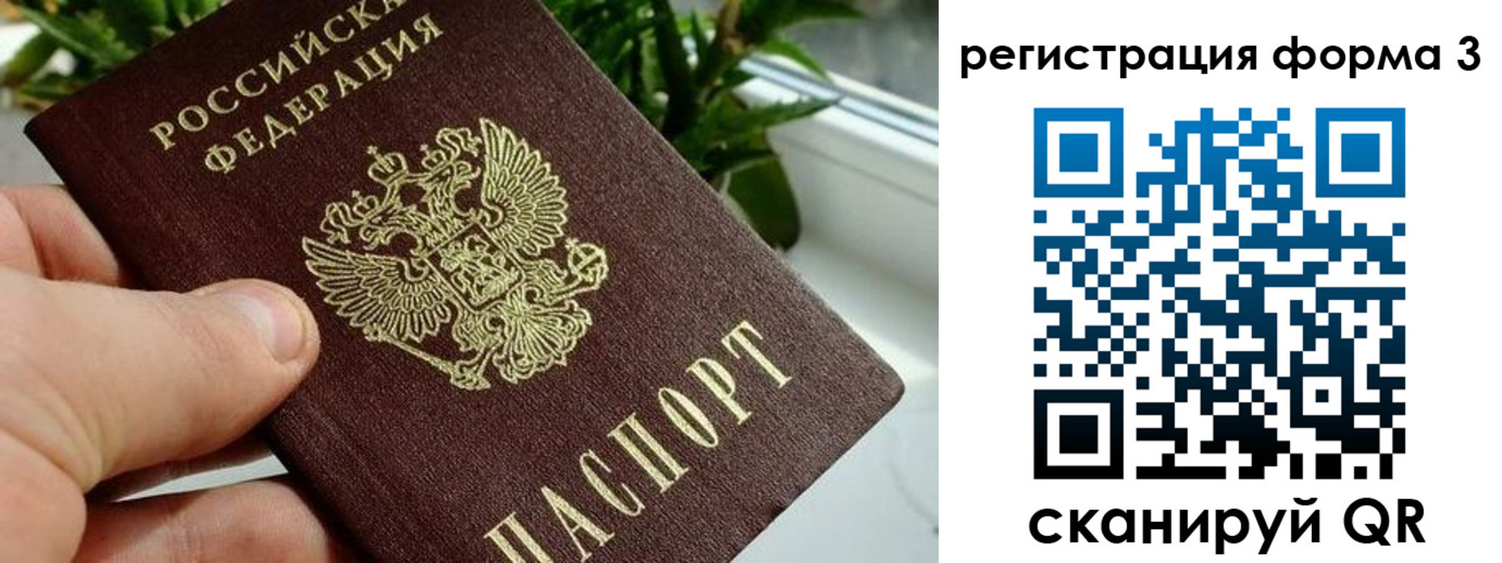прописка штамп в Камешково
